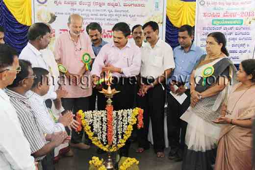 jackfruit mela13jun28 6